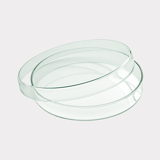 celexon Glasschale mit Deckel Ø15 x 2,5 cm