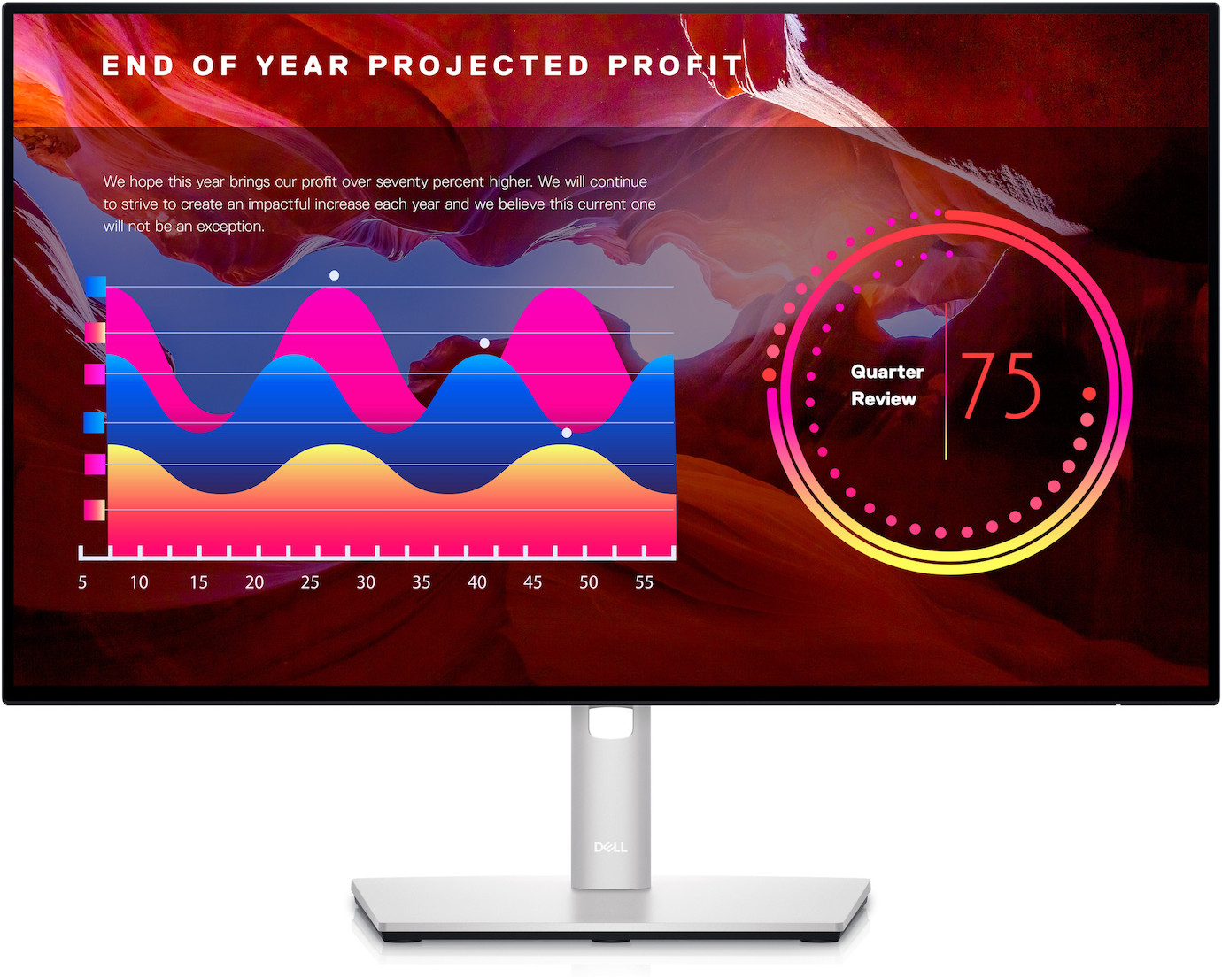 Dell UltraSharp 24 Monitor – U2422H