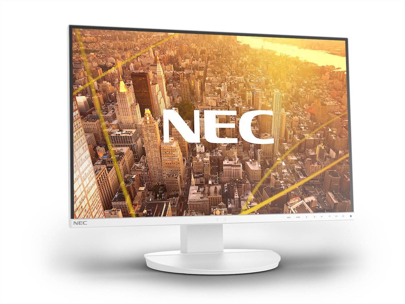 NEC MultiSync EA242WU