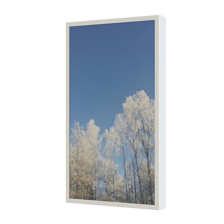 HI-ND 50" Wandgehäuse PROTECT, Hochformat, weiß