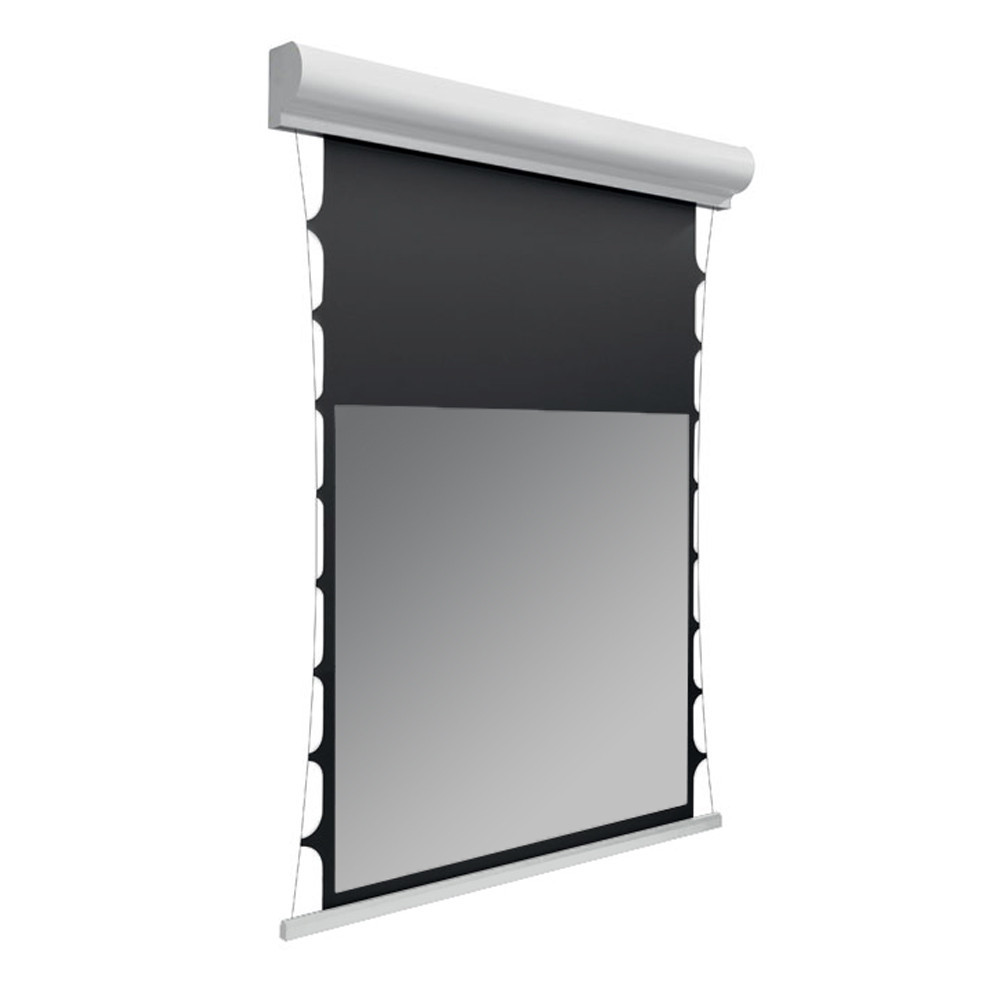 DELUXX Cinema Hochkontrast-Leinwand Tension II 265 x 149 cm, 120" - DAYVISION ALR - Demoware