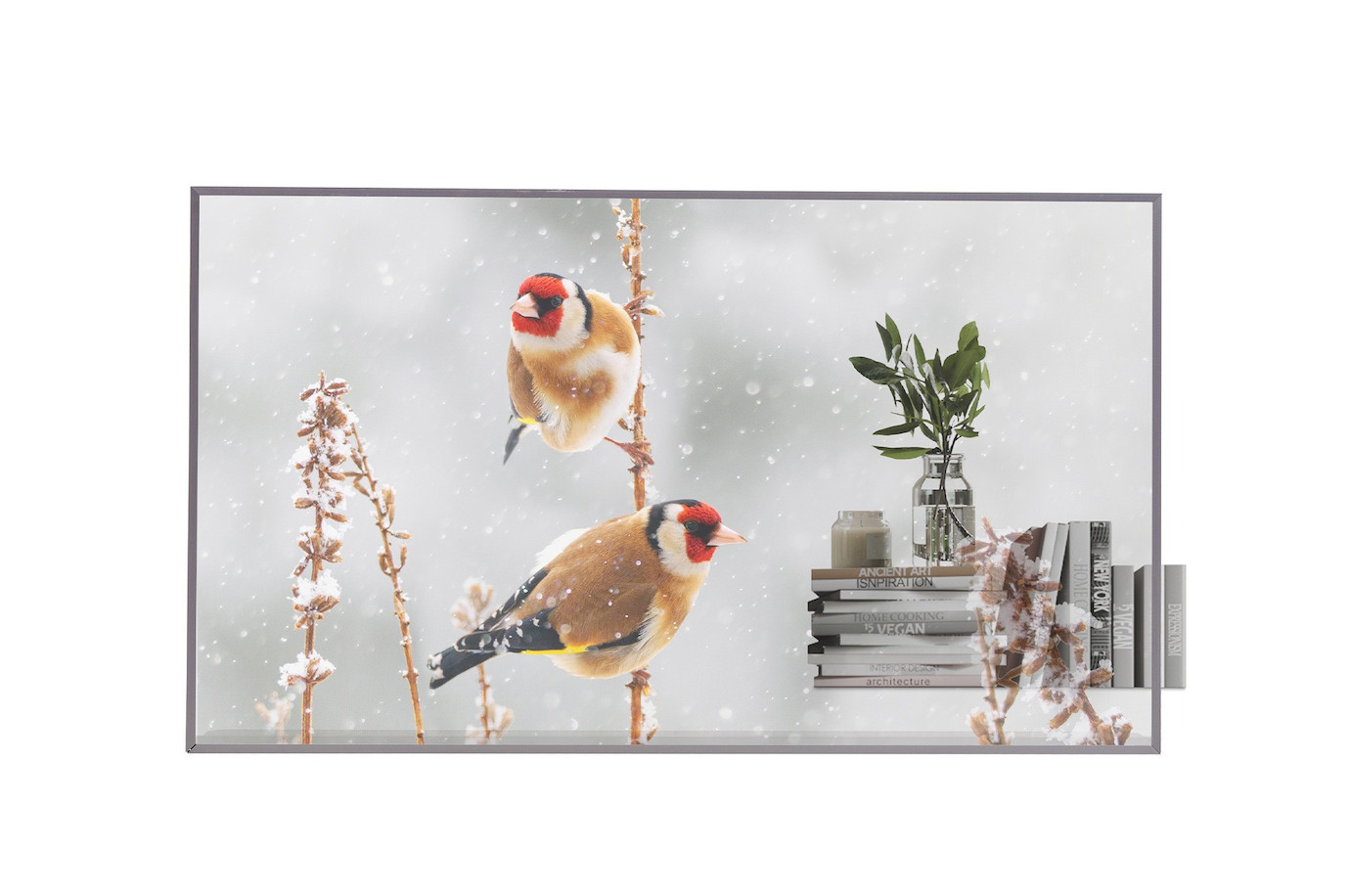 Vorschau: LG 55EW5P-M Transparent OLED Signage