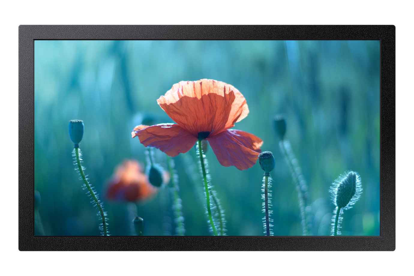 Samsung QB13R-M - Demoware