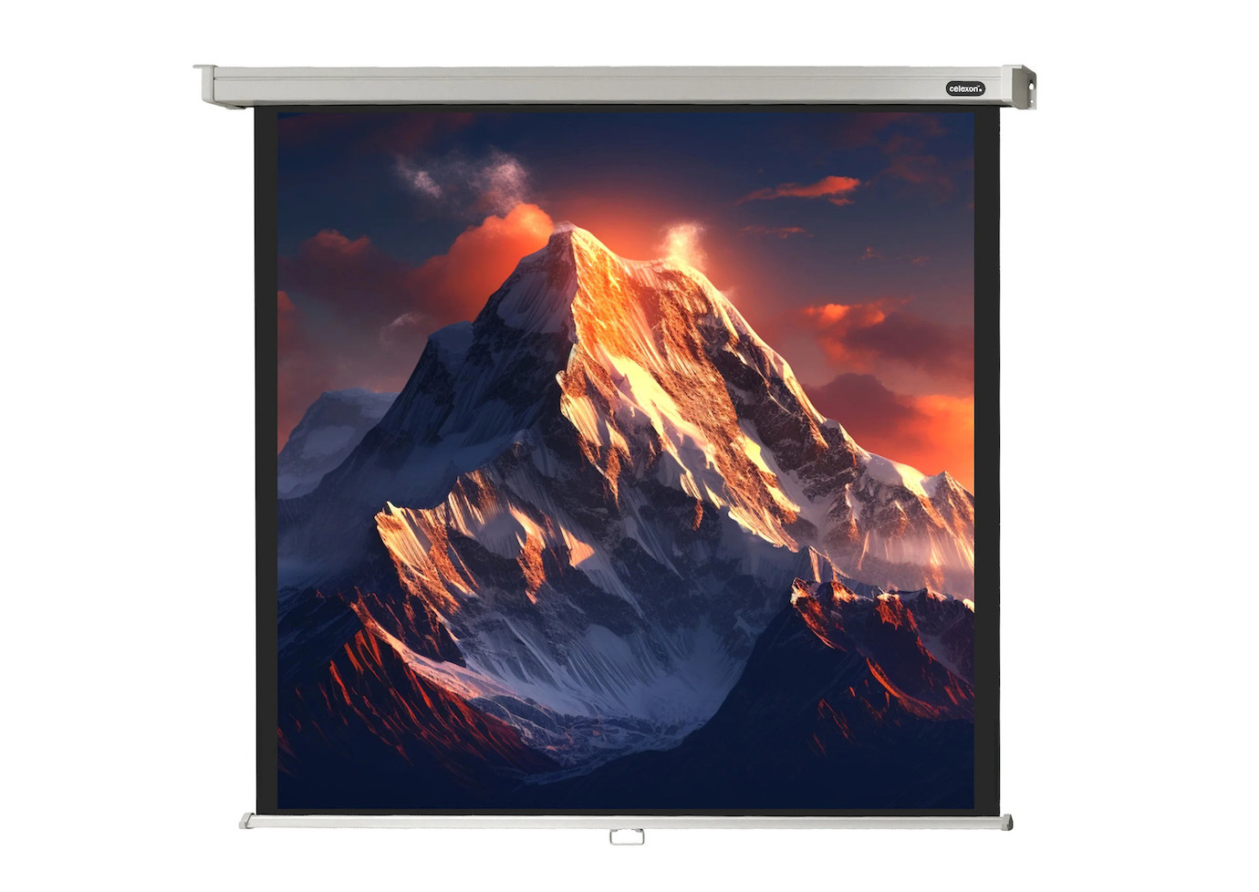 celexon Rolloleinwand Professional 200 x 200 cm - 1:1 - Gain 1,2 - 111"