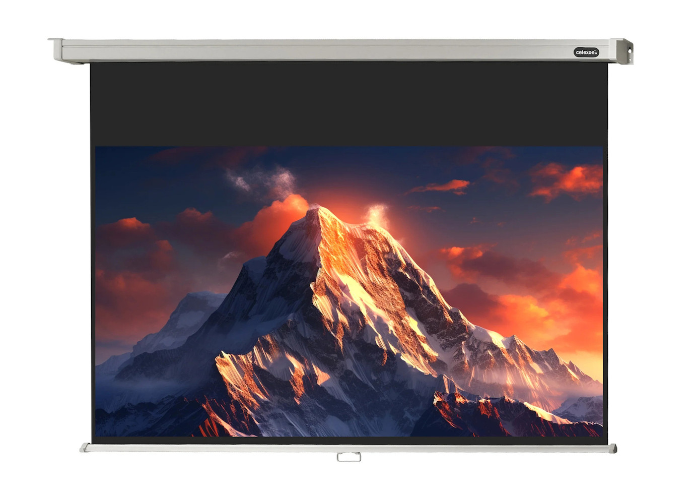 celexon Rolloleinwand Professional 160 x 90 cm - 16:9 - Gain 1,2 - 72"