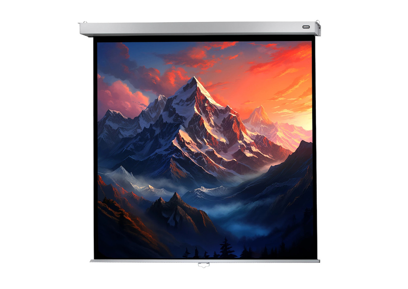 celexon Leinwand Rollo Professional Plus 200 x 200 cm - 111"