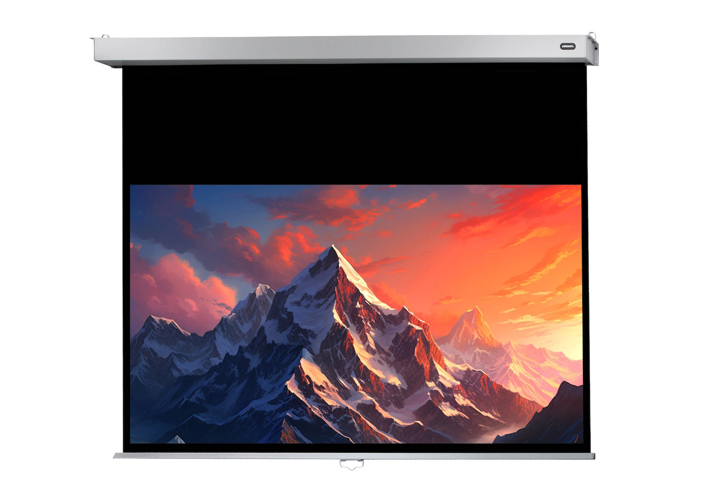 celexon Leinwand Rollo Professional Plus 280 x 158 cm - 127"