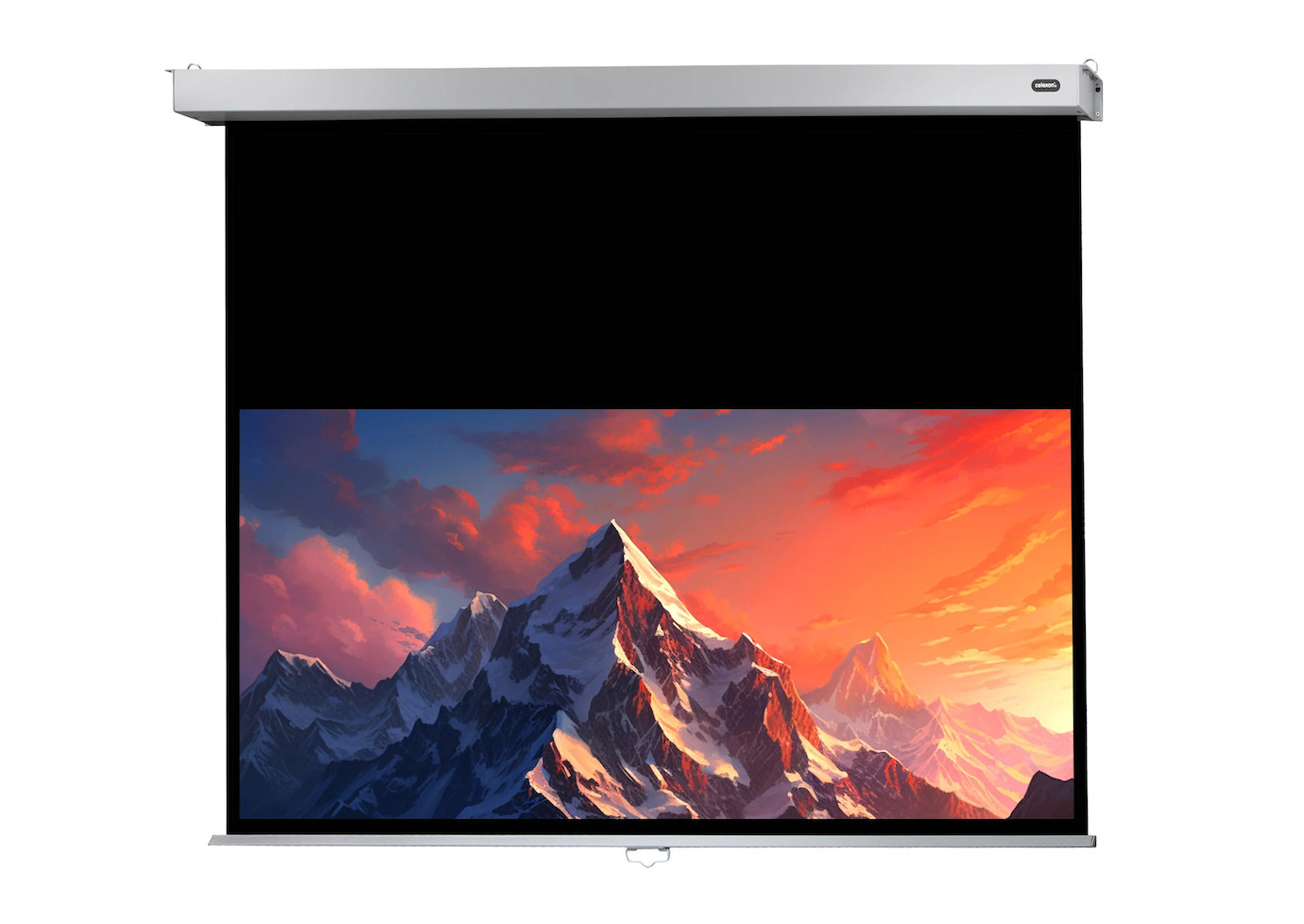 celexon Leinwand Rollo Professional Plus 200 x 125 cm - 93"