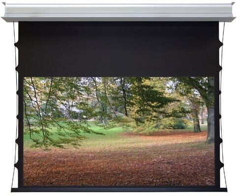 WS-S-DE-GrandCinema, 16:9 244x137 cm Home Vision BE/BL 1,2 Gain