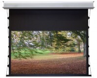 WS-S-DE-GrandCinema, 16:9 274x154 cm Home Vision BE/BL 1,2 Gain