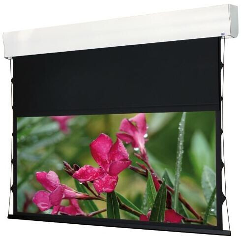 WS-S-4 Format-Wave 140 Zoll 16:9 284x160cm HomeVision BE/BL