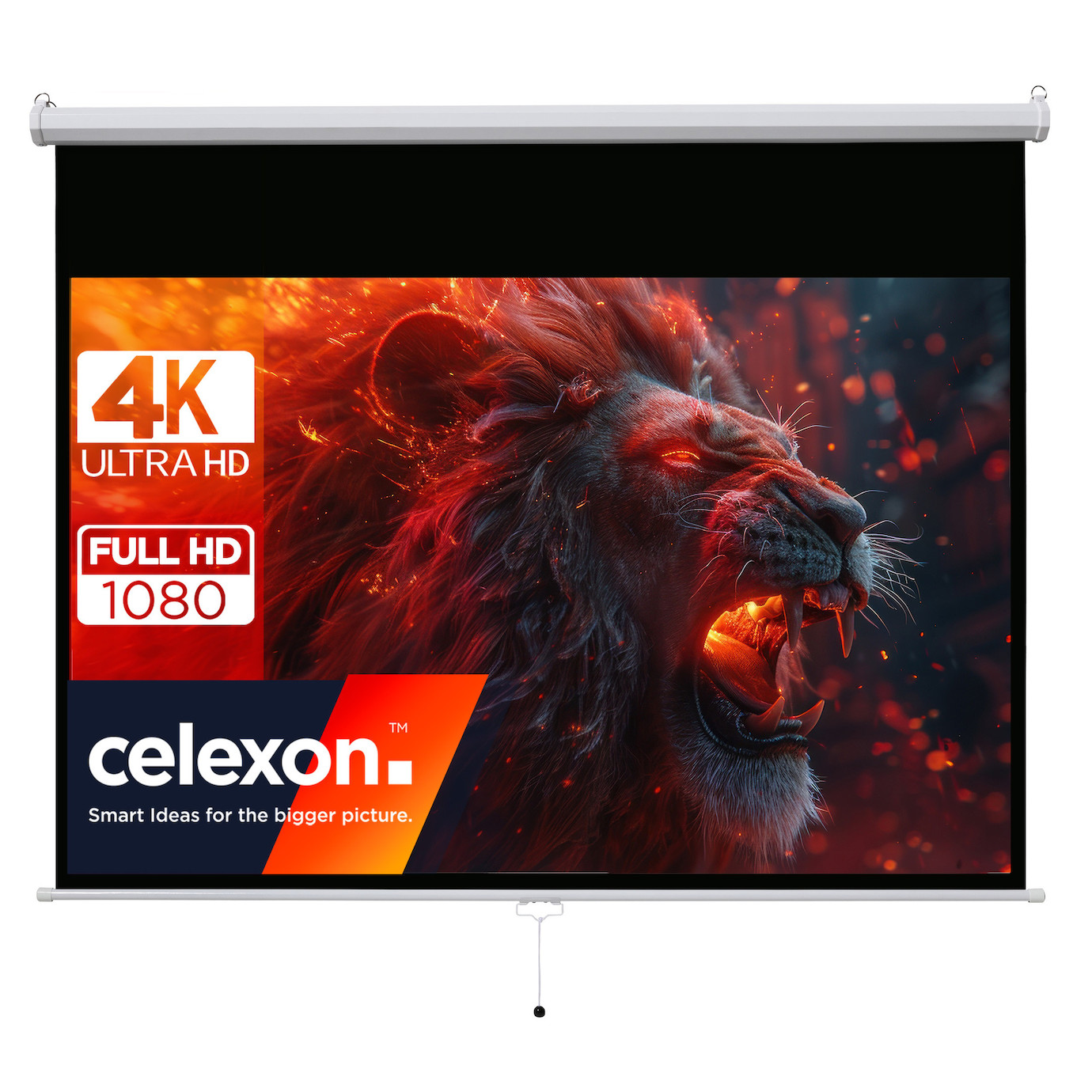 celexon basic line Rolloleinwand 240 x 135cm,Leinwand Format 16:9, Heimkino Leinwand, Beamerleinwand