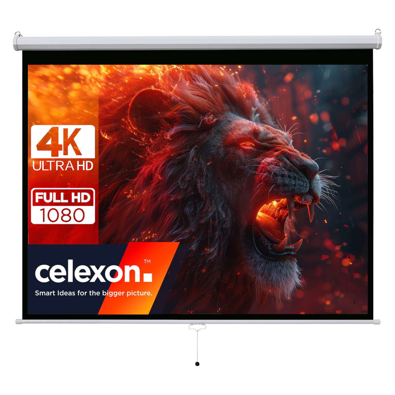 celexon basic line Rolloleinwand 200 x 150cm,Leinwand Format 16:9 , Heimkino Leinwand, Beamerleinwan