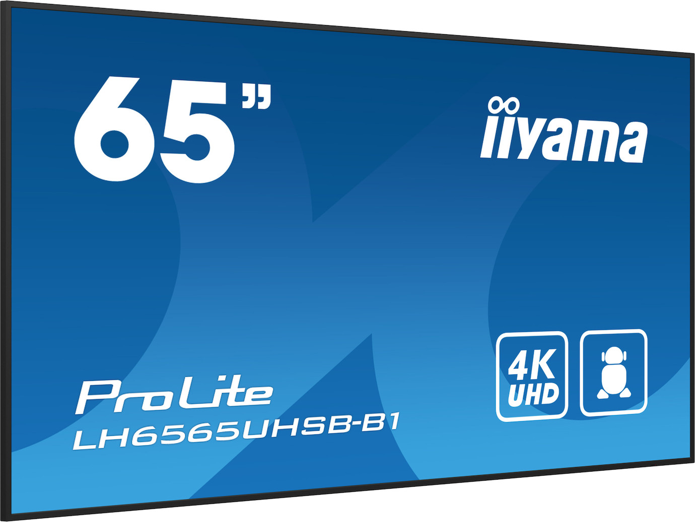 Vorschau: iiyama PROLITE LH6565UHSB-B1