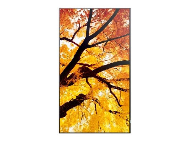 Vorschau: Sharp MultiSync M552 LCD 55" Message Large Format Display