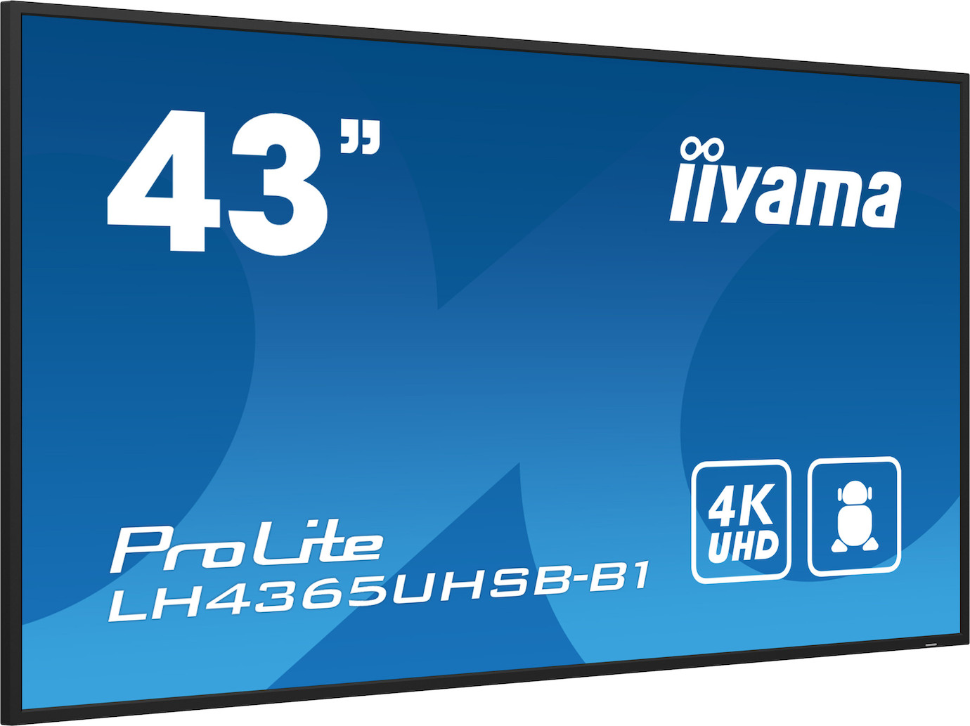 Vorschau: iiyama PROLITE LH4365UHSB-B1