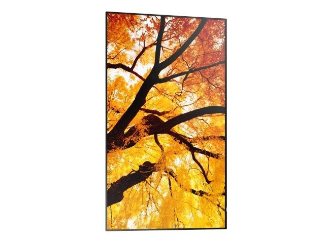 Vorschau: Sharp MultiSync M552 LCD 55" Message Large Format Display