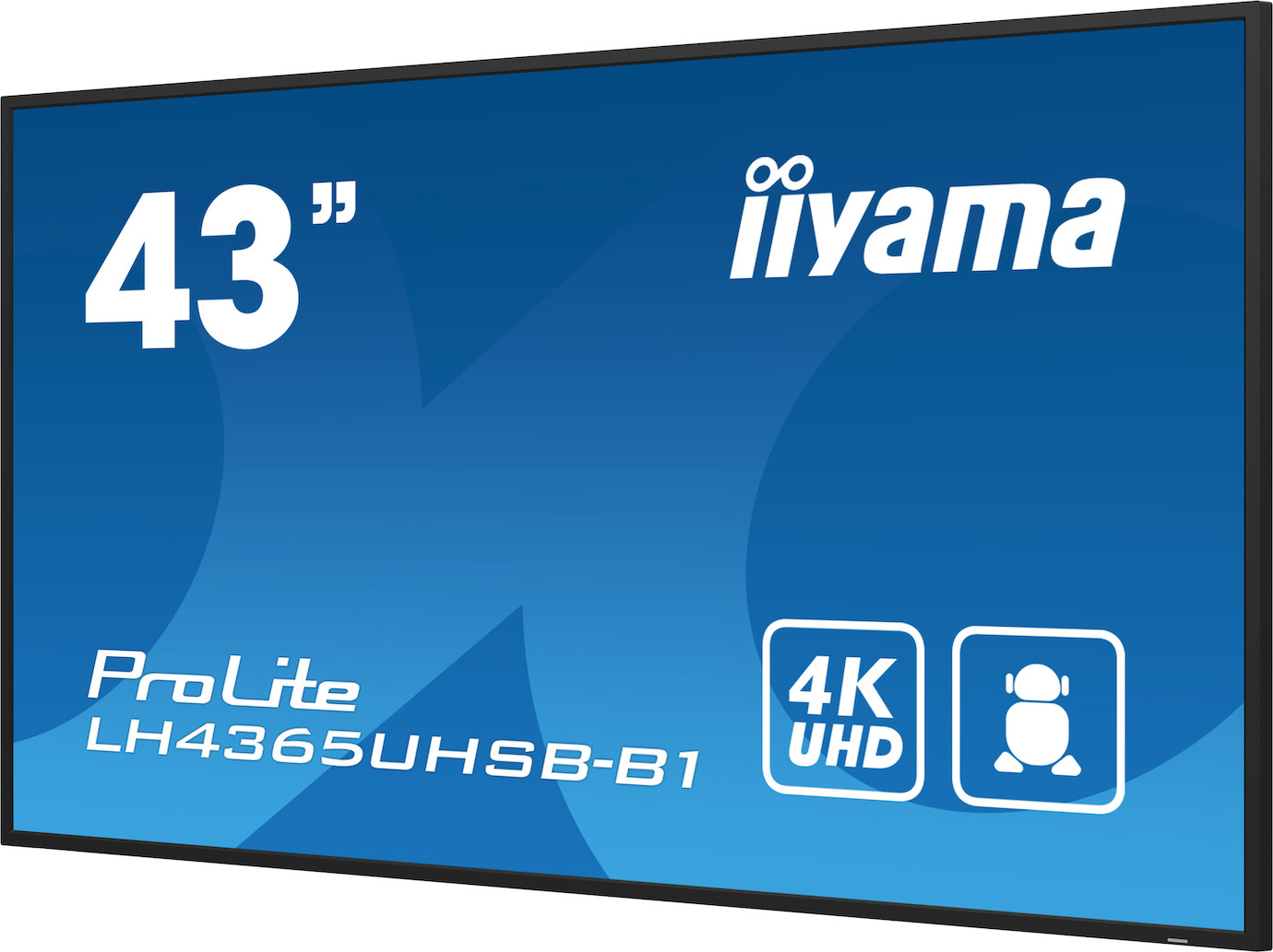 Vorschau: iiyama PROLITE LH4365UHSB-B1