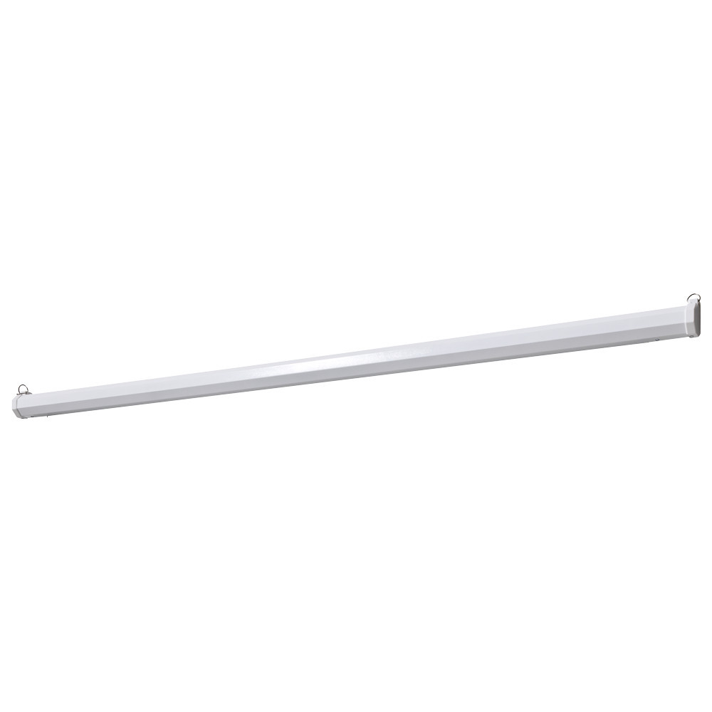 Vorschau: celexon basic line Motorleinwand 240 x 240cm,Heimkino Leinwand,Leinwand Format 1:1, Beamerleinwand,3
