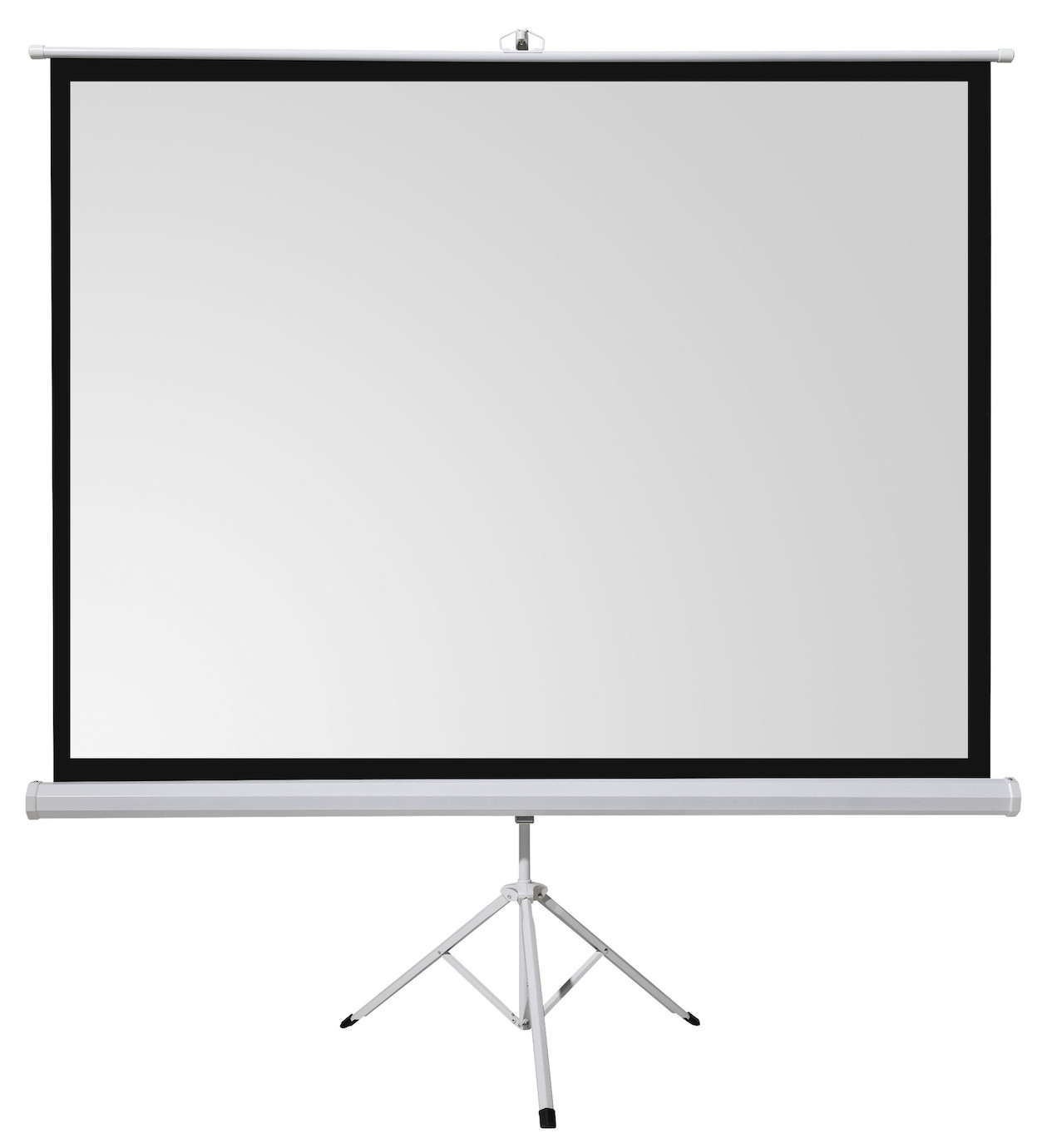 Vorschau: celexon basic line Stativleinwand 220 x 220cm,Leinwand Format 1:1, Heimkino Leinwand, Beamerleinwand