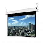 DELUXX Professional Motorleinwand Mattweiß Vision Inceel - 16:9 - 335x189cm