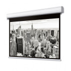 Vorschau: DELUXX Professional Motorleinwand 1:1 Mattweiss Vision Pro 274 x 274 cm