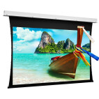 Projecta Leinwand Deckeneinbau Tensioned DescenderPro 300 x 173 cm
