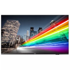 Philips 43BFL2214/12 43" Digital Signage Display mit 4K UHD