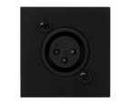 Procab Verbindungplatte mit XLR-female Buchse auf Euroblock, 45x45mm, schwarz Procab Verbindungplatte mit XLR-female Buchse auf Euroblock, 45x45mm, schwarz