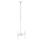 HI-ND Deckenhalterung Universal für 32-55" Display, weiß