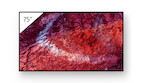 Sony FW-75BZ40P professionelles 75-Zoll-Display mit einzigartiger Deep Black Non-Glare Premium-Besch