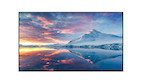 Panasonic TH-75EQ3W 75" UHD LCD-Display mit USB Mediaplayer