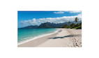 Sharp MultiSync UN553V 55" Videowall Display