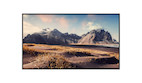 MAXHUB ND65CMA 65" Digital Signage Display