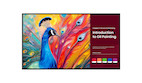 BenQ SH6504 65" Pantone zertifiziertes Pro Signage für professionelle Präsentationen