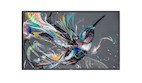 Philips 65BDL3511Q/02 Q-Line 65" Ultra-HD Display mit integriertem Mediaplayer