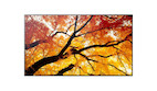 Sharp MultiSync M652 65" Message Large Format Display