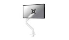 Neomounts Next Slim Desk Mount single display