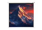 celexon Leinwand Rollo Economy 120 x 120 cm