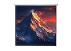 celexon Leinwand Rollo Economy 240 x 240 cm - 134"