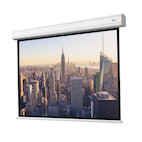 Vorschau: DELUXX Professional Motorleinwand Mattweiß Vision - 16:9 - 305x172 cm