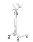 Vorschau: Neomounts FL50S-825WH1 mobiler Bodenständer für 37-75" Bildschirme - Weiß