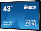 Vorschau: iiyama PROLITE T4362AS-B1 - Demoware