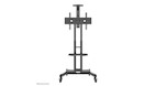 Vorschau: Neomounts NM-M1700BLACK TV-Trolley 32-75" - Schwarz - Fester Bodenständer - Stahl - 50 kg - 81,3 cm