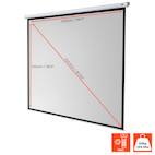 Vorschau: celexon Leinwand Rollo Economy 300 x 300 cm - 167"