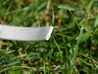 Vorschau: SUPRA Flat 1.6 Lautsprecherkabel Meterware - Mindestbestellmenge 10 m