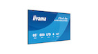 Vorschau: Iiyama 65" 3840x2160 UHD VA VESA Mount 800x800