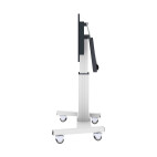 Vorschau: celexon Display-Rollwagen Adjust-V4670L (mit Kippfunktion)