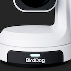 Vorschau: BirdDog MAX professionelle PTZ-Kamera in weiß