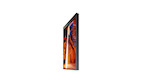 Vorschau: Samsung OM55N-DS 55" doppelseitiger Outdoor LED-Flachbildschirm